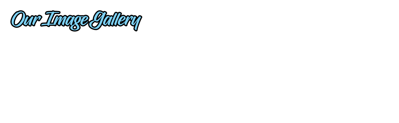 | Cleaning Pro Services