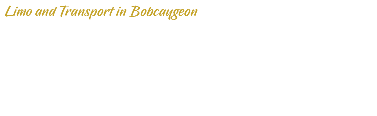 Limo and Transport in Bobcaygeon | Overlay | D.G. Transportation Limousine Service